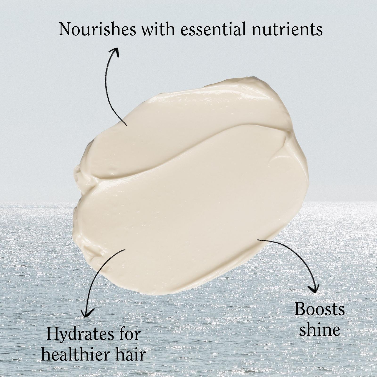 Classic Coconut Conditioner