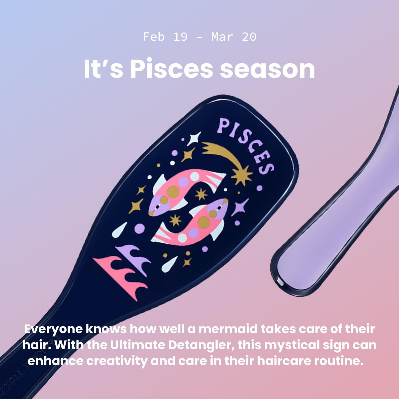 The Zodiac Ultimate Detangler - Pisces: Feb 19 – Mar 20