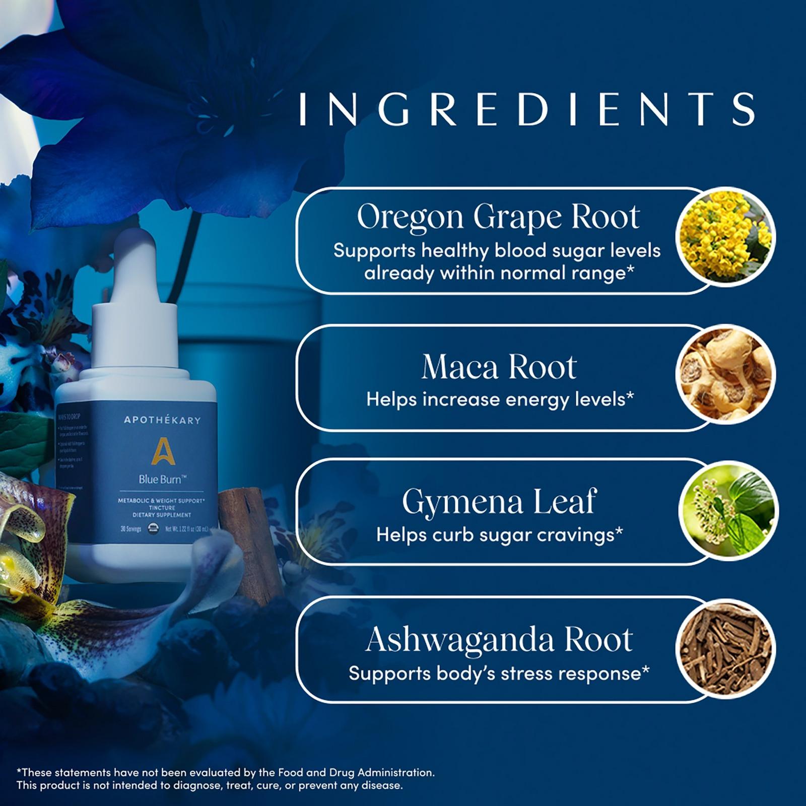 Blue Burn Metabolic & Weight Support Tincture