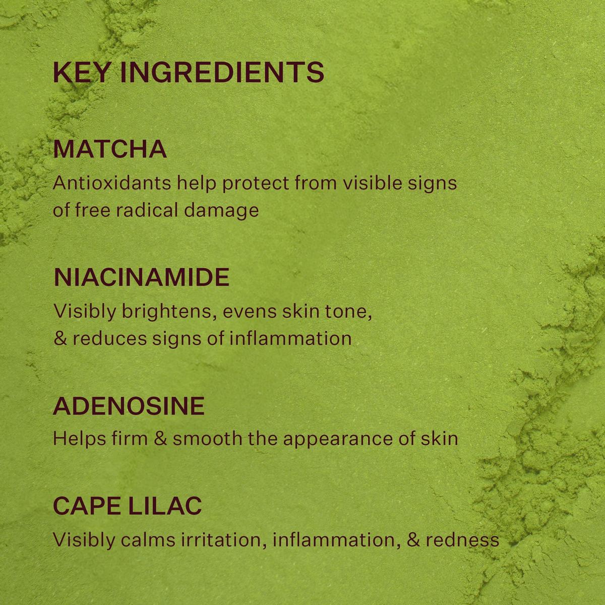 Matcha Pudding Antioxidant Cream - 3.38 oz