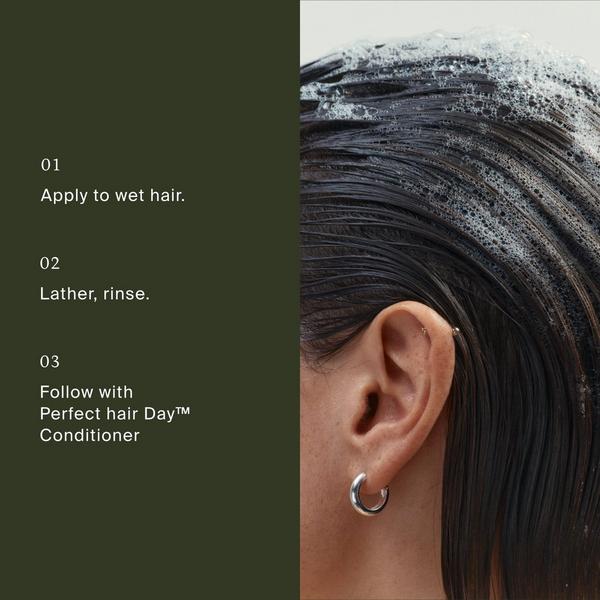 Living Proof Perfect Hair Day Shampoo #8