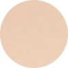 1N