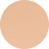 2N