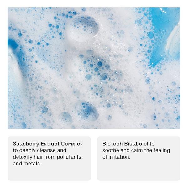 isima Reset Clarifying Shampoo #5