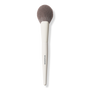 Morphe M163 Paddle Powder Brush