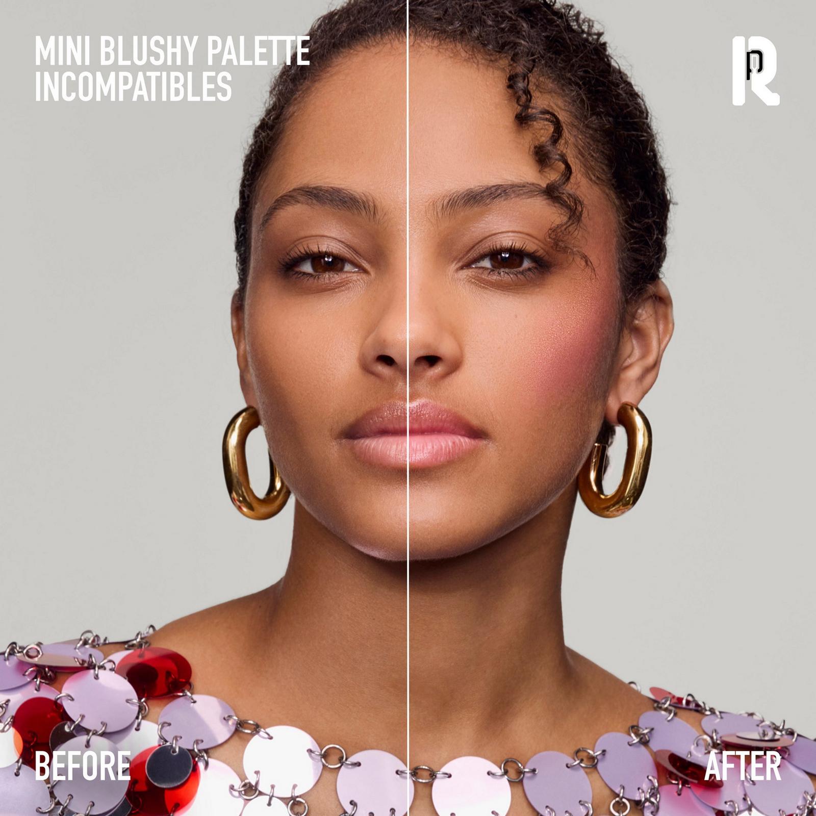 Mini Blushy Palette - Incompatibles
