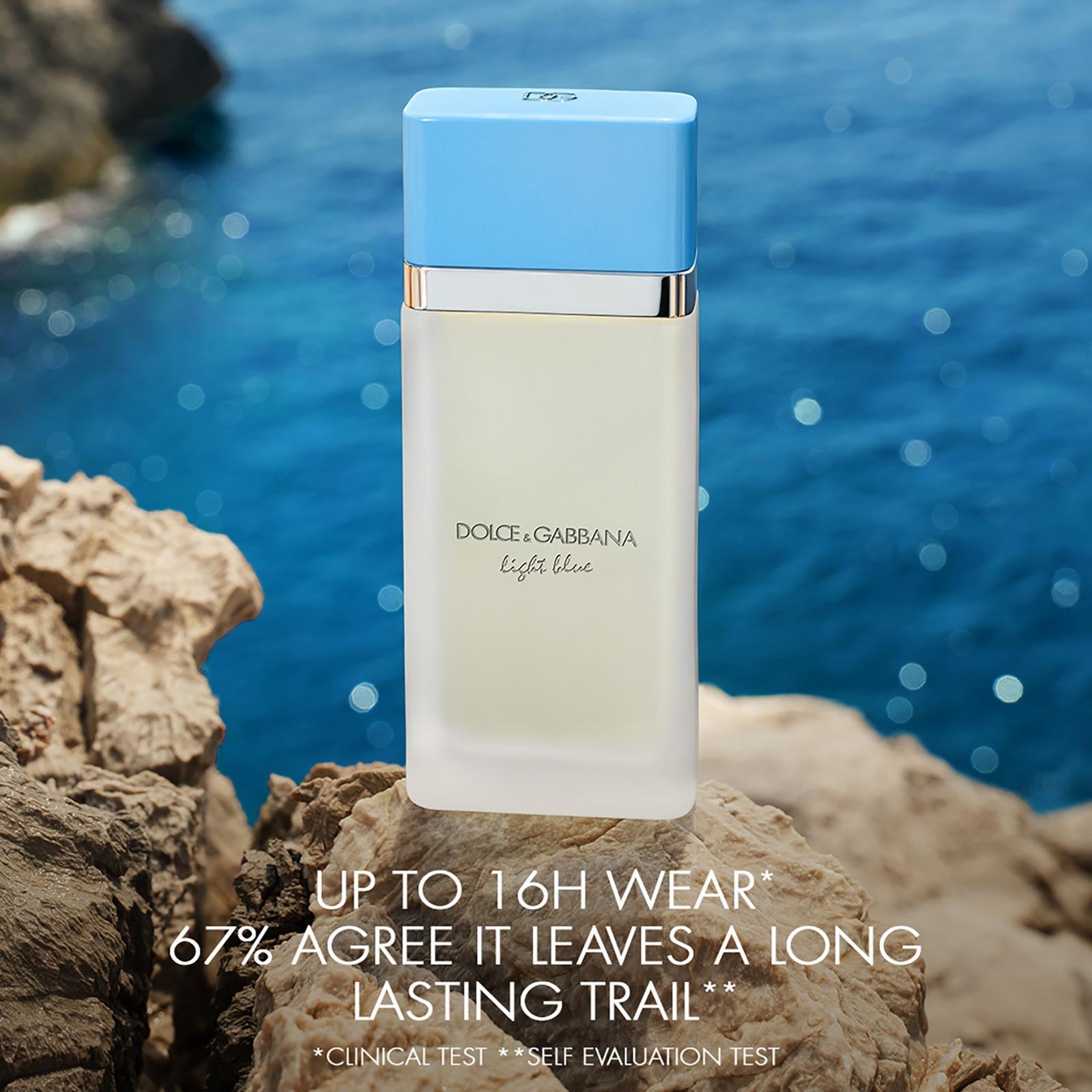 Amazon.com: Dolce & Gabbana Light Blue Pour Homme, Eau De
