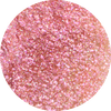 SHELL-EBRITY