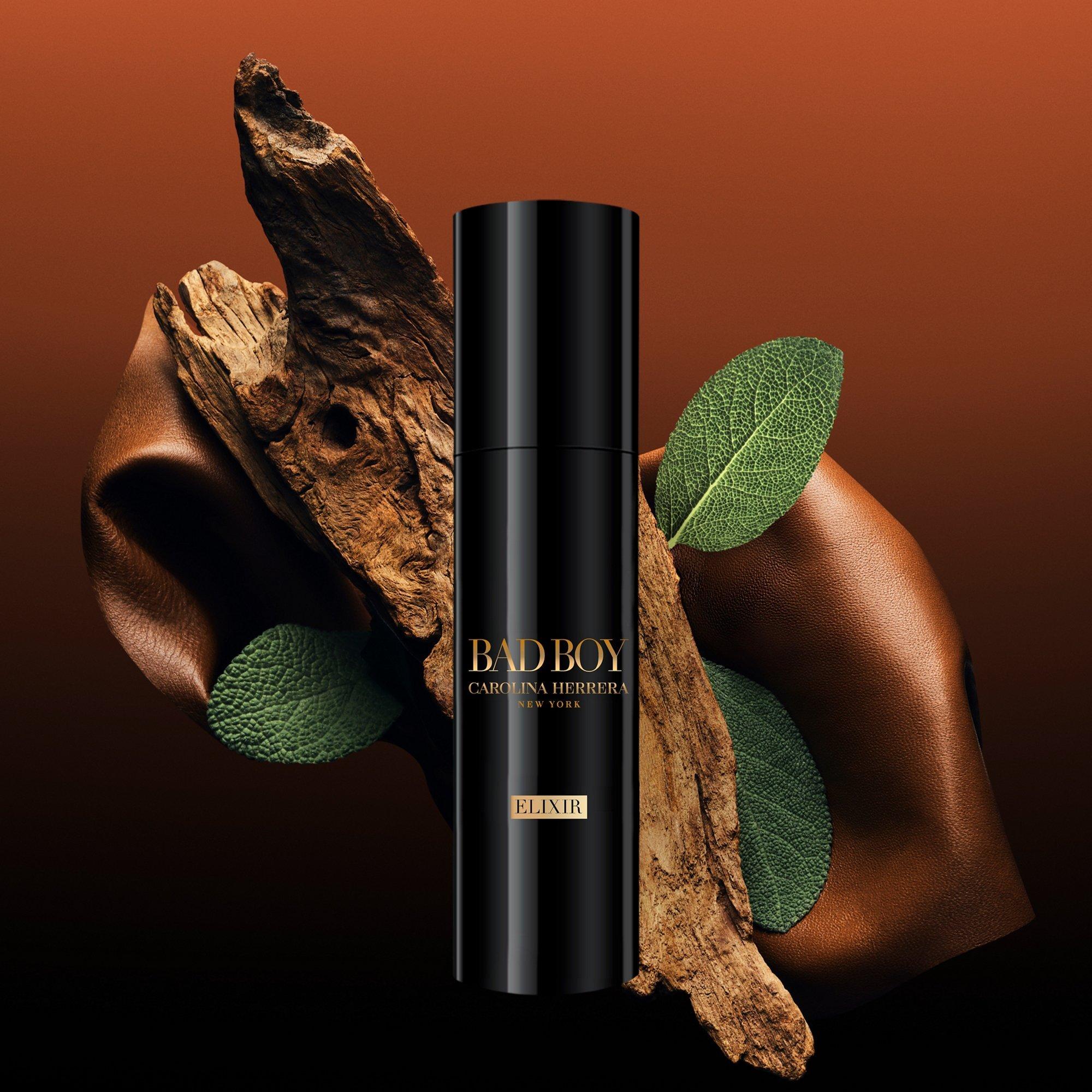 Carolina Herrera Bad Boy Elixir