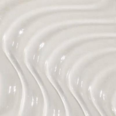 Ceramide Lip Blur Balm Hydrating & Smoothing Lip Treatment - Clear