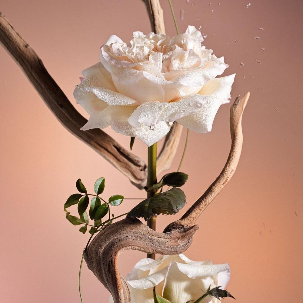 Nourishing Body Oil - Santal Bloom