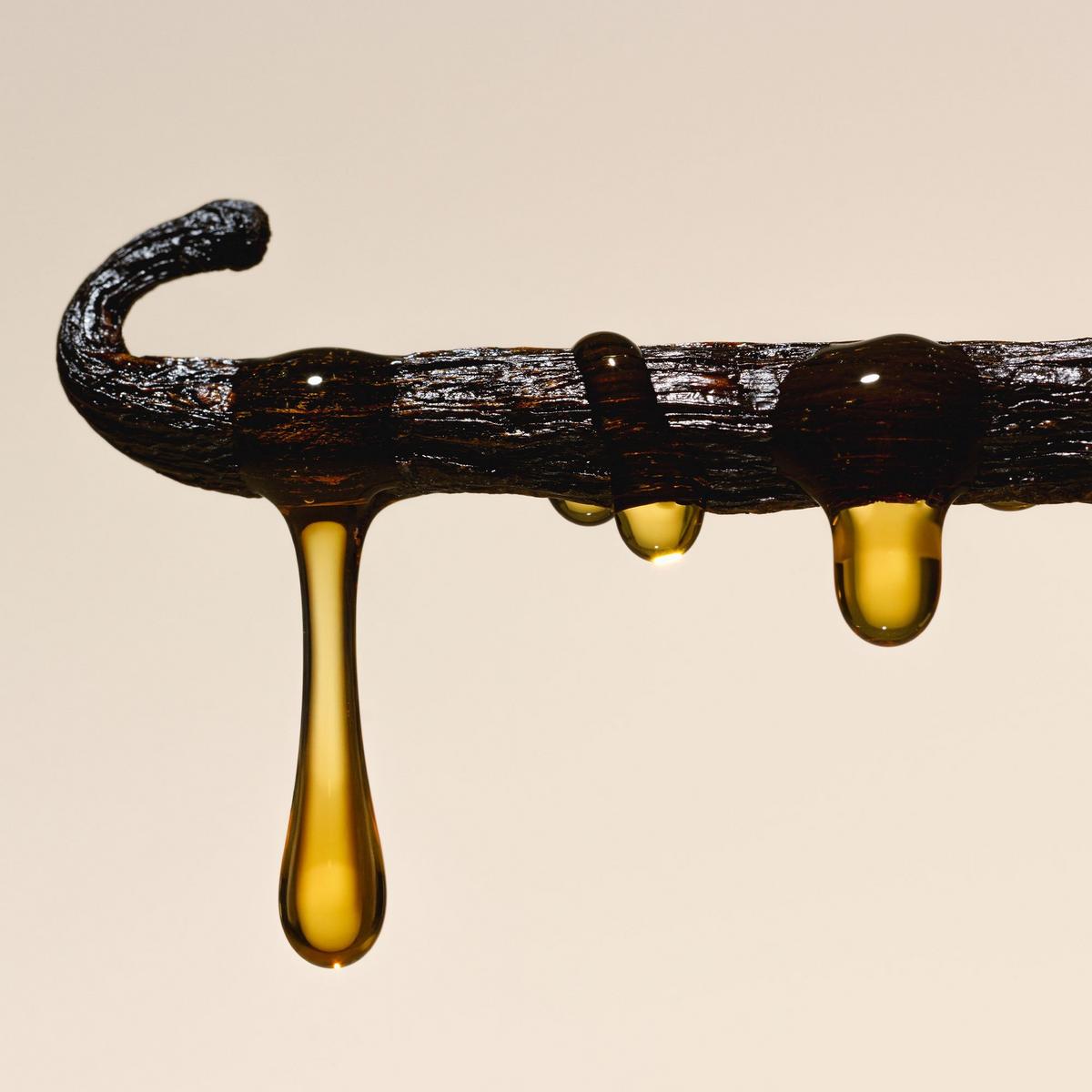 Nourishing Body Oil - Salt Water Vanilla