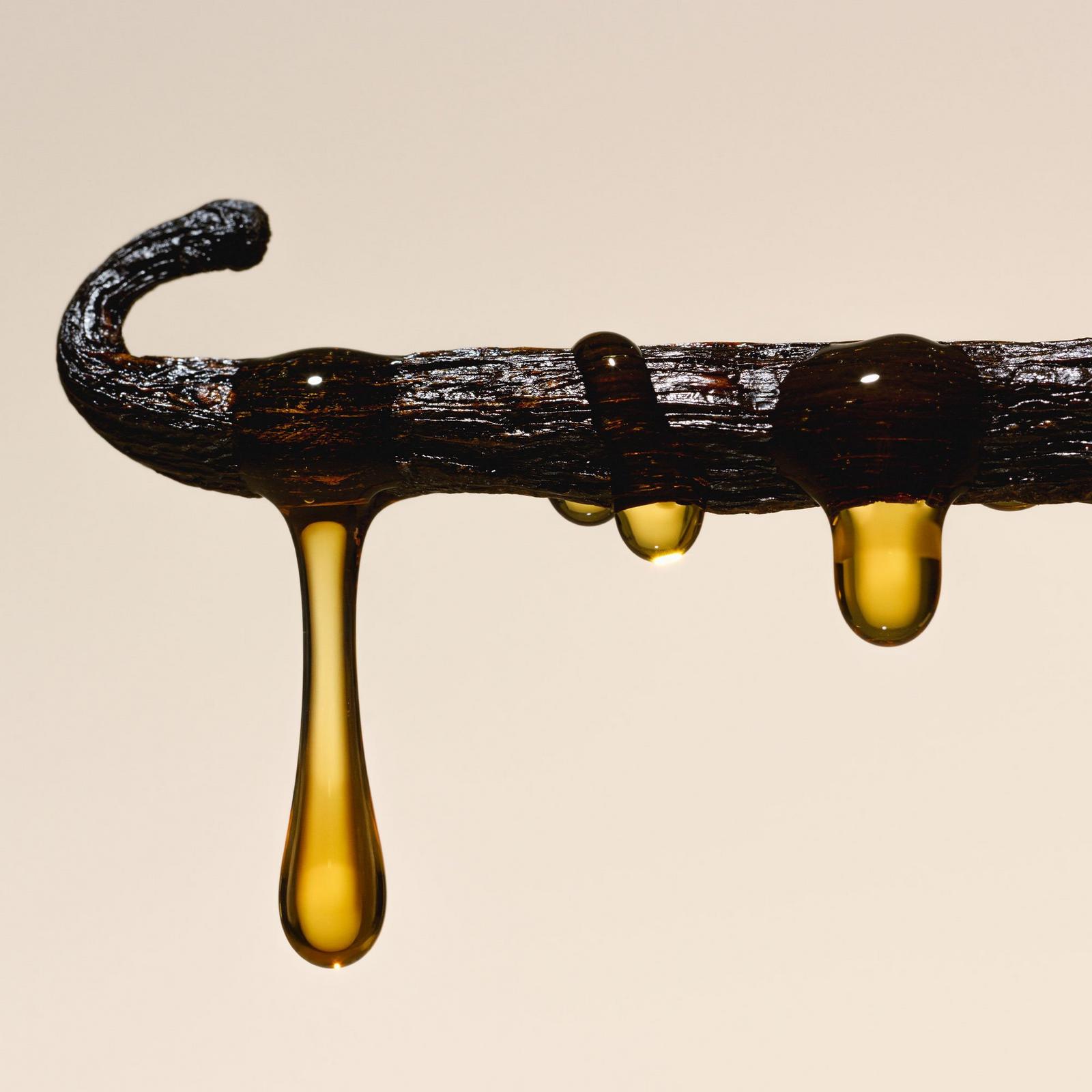 Nourishing Body Oil - Salt Water Vanilla