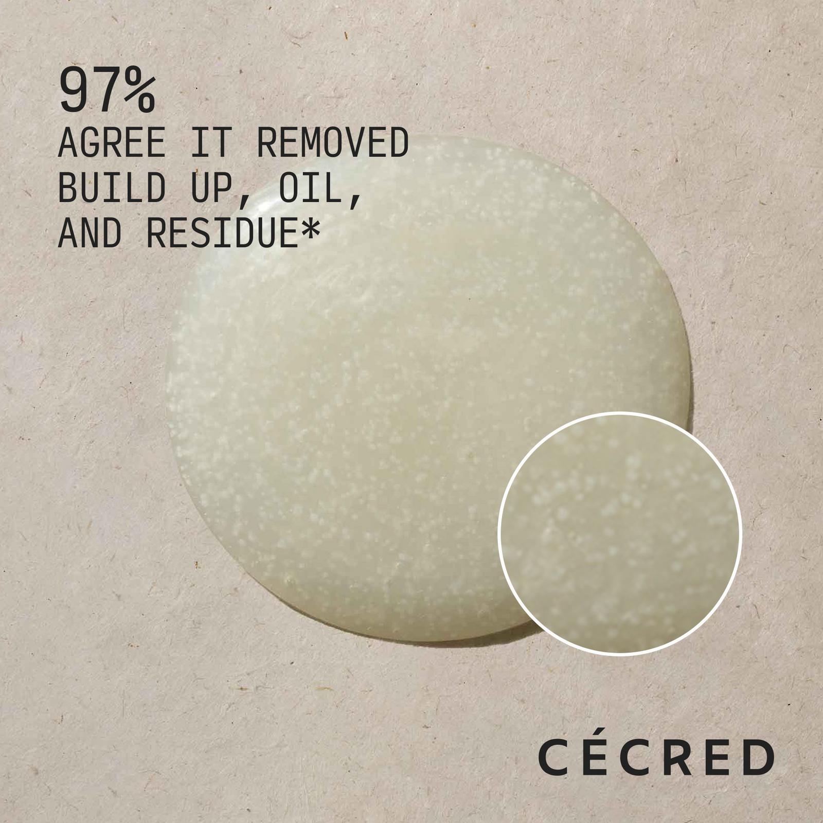 Clarifying Shampoo & Scalp Scrub
