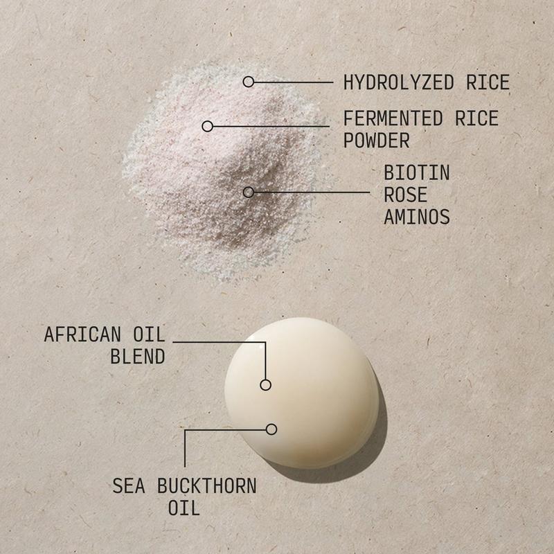 CÉCRED Fermented Rice & Rose Protein Ritual #7