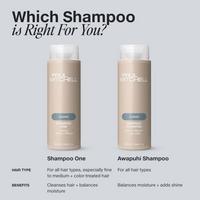 Paul Mitchell Awapuhi Shampoo #7