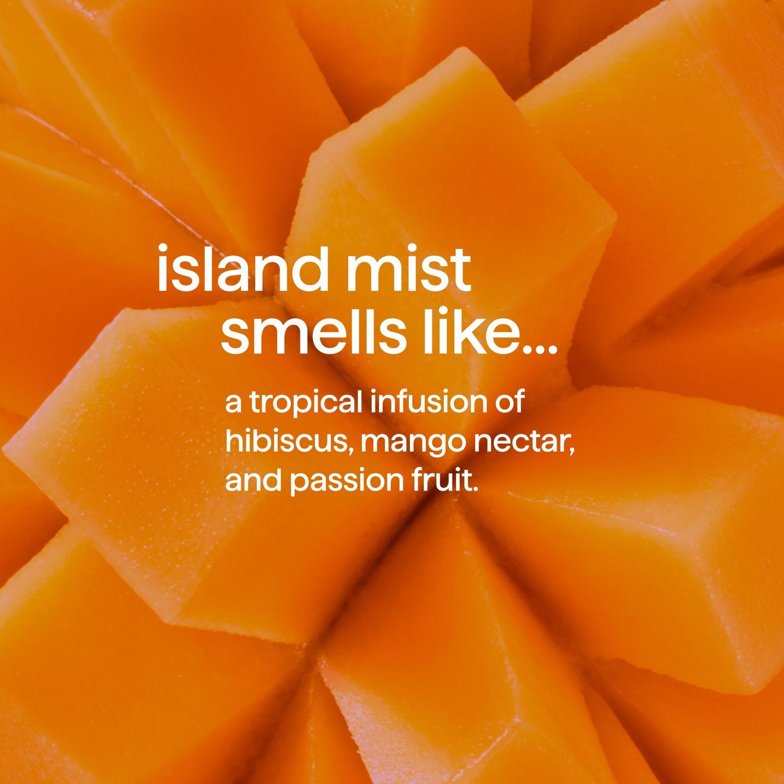 Body Wash - Island Mist