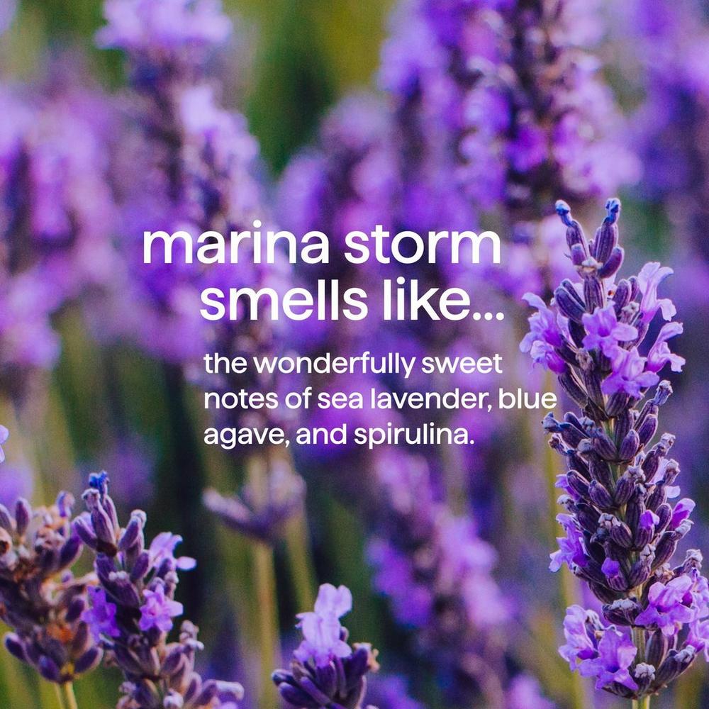 Body Wash - Marina Storm