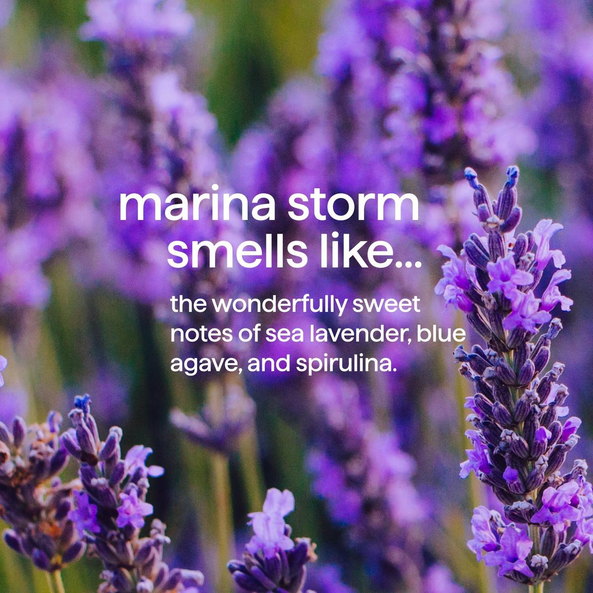 Body Wash - Marina Storm
