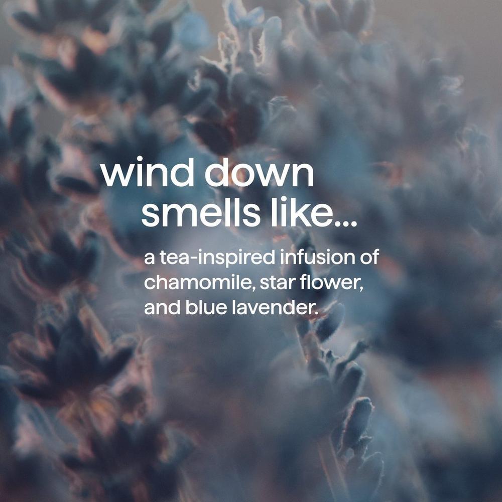 Body Wash - Wind Down