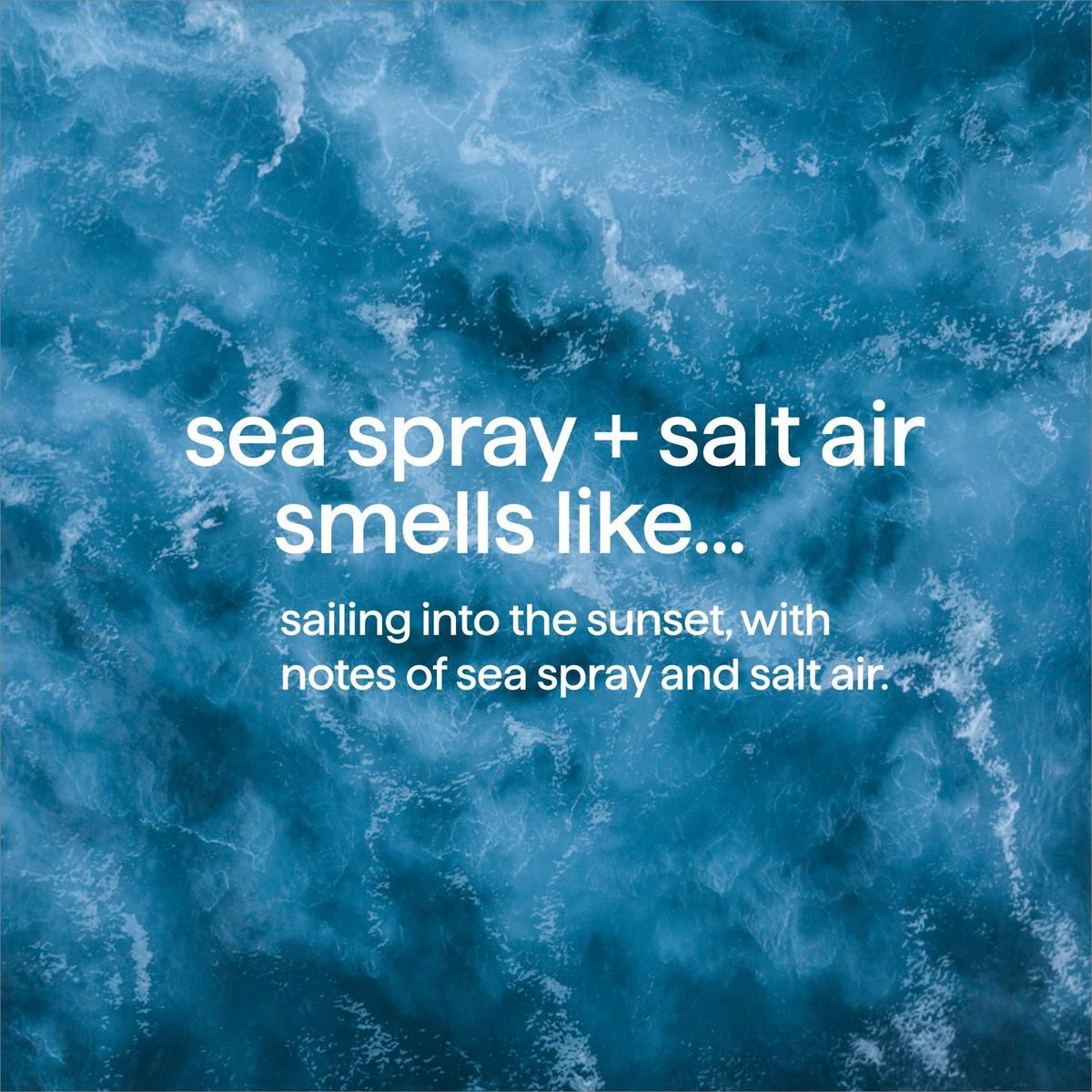Body and Hair Mist - Sea Spray & Salt Air