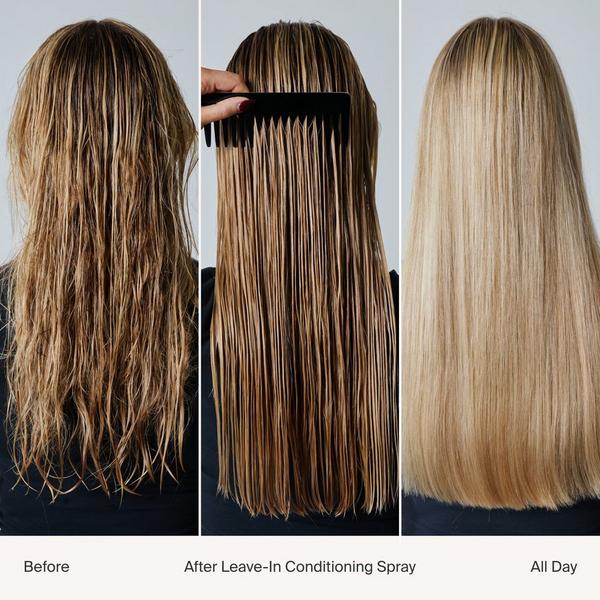 Living Proof Leave-In Conditioning Spray #2