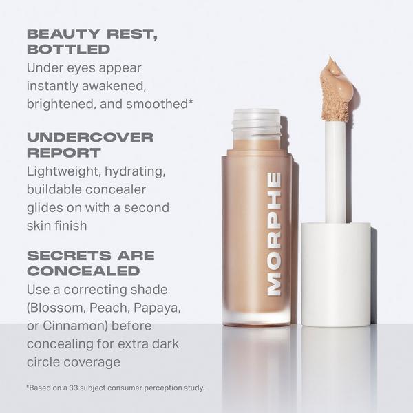 Morphe Wakeup Artist Under Eye Correcting Concealer #6