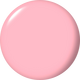 Drop to the Florchid Make 'Em Jelly Infinite Shine Collection 