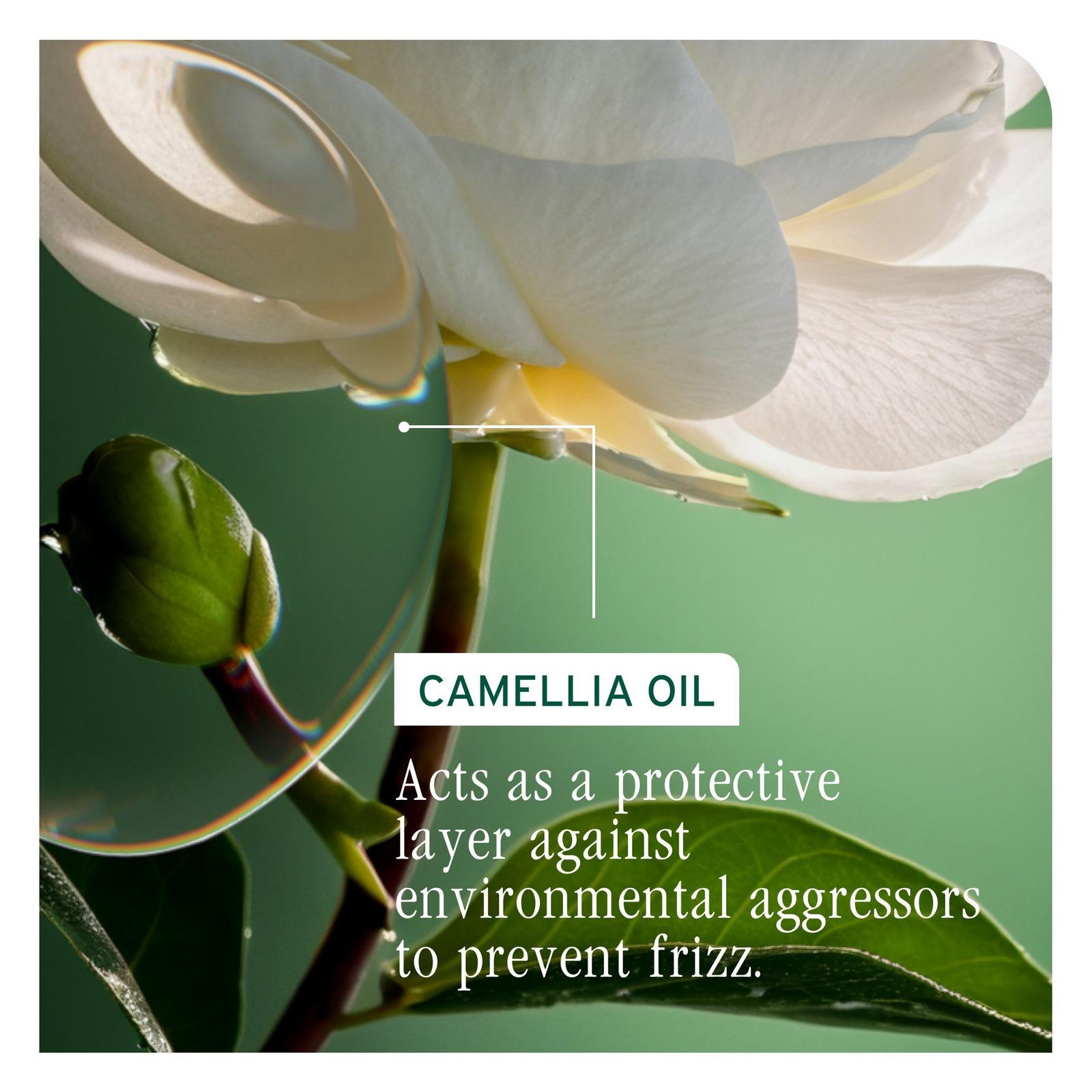Smooth Proof Serum for Frizzy Hair