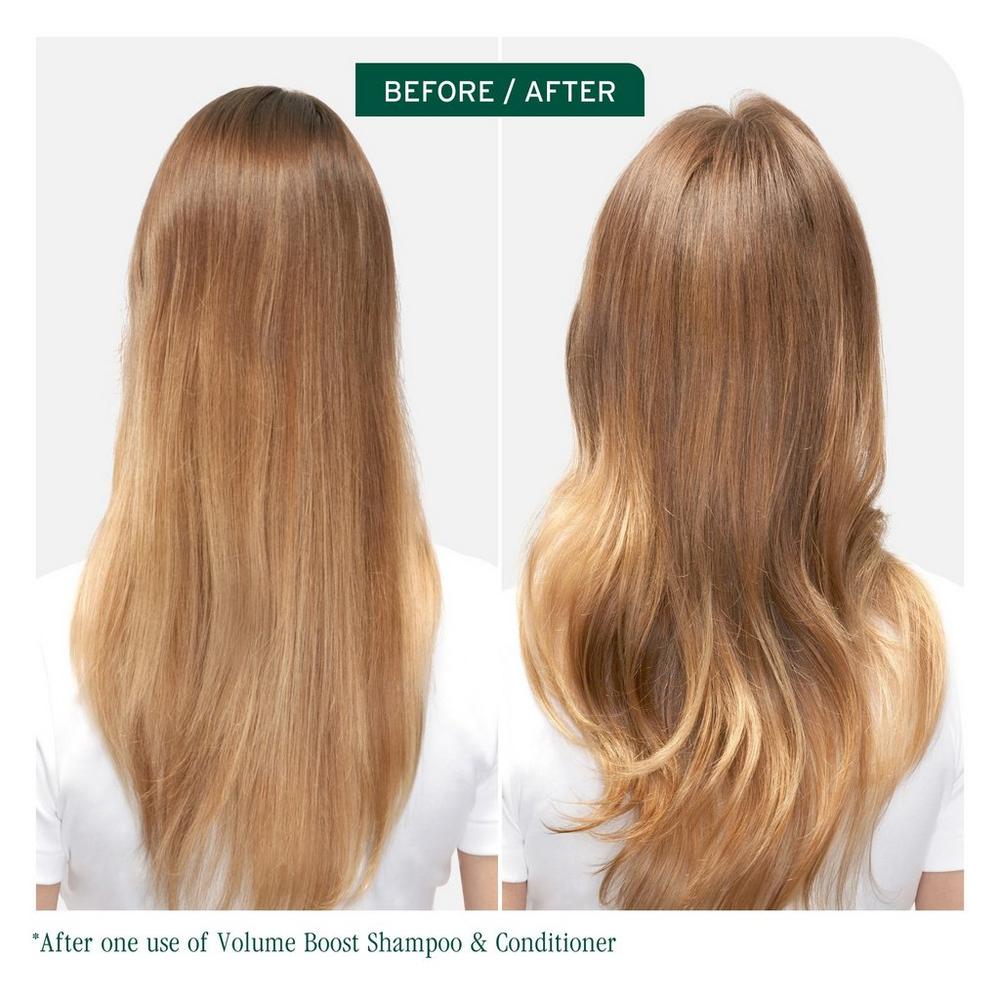 Volume Boost Shampoo for Fine Hair - 13.5 oz