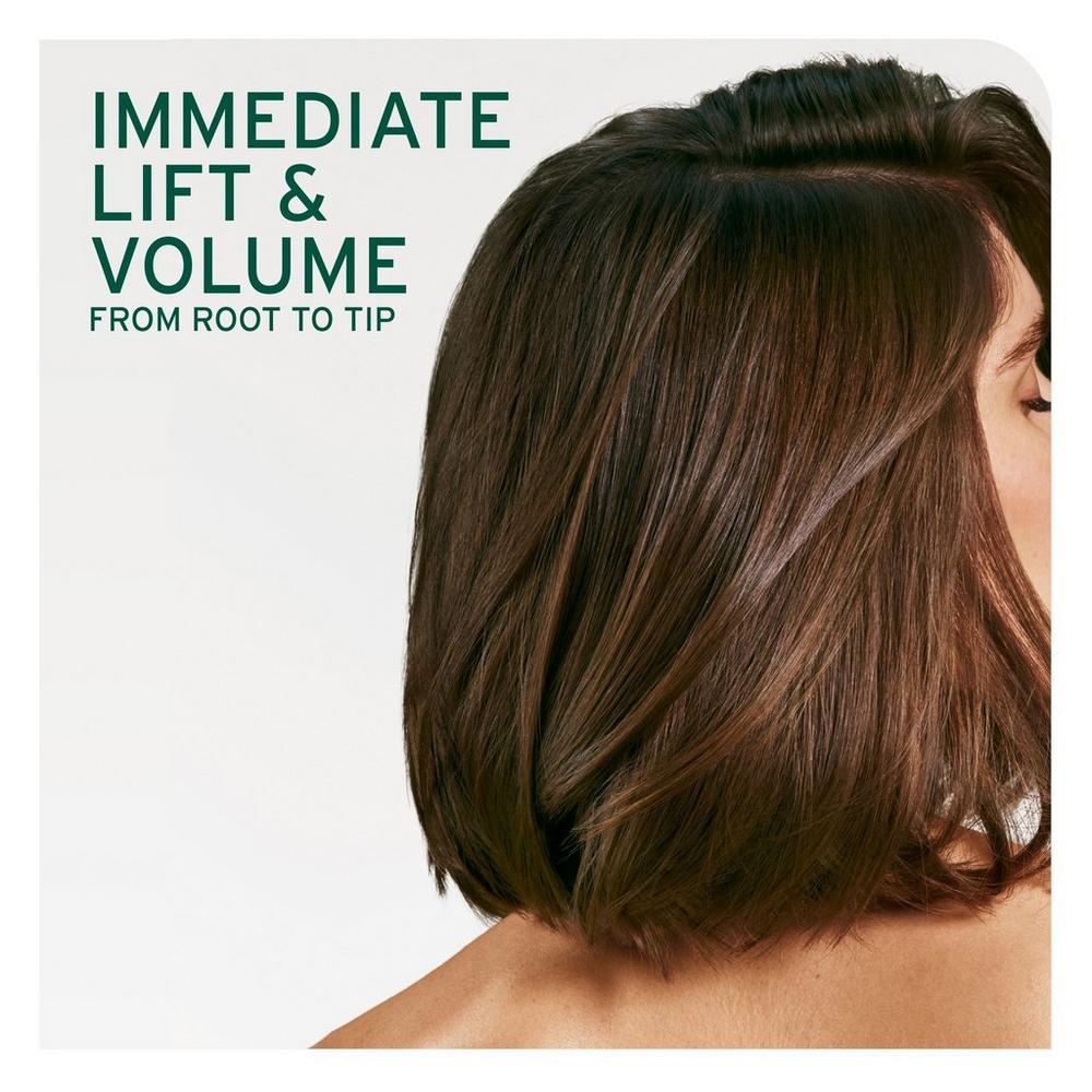 Volume Boost Shampoo for Fine Hair - 13.5 oz
