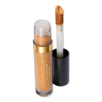 The Ideal Fix Concealer