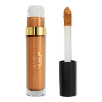 The Ideal Fix Concealer