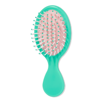 Travel Hair Brush