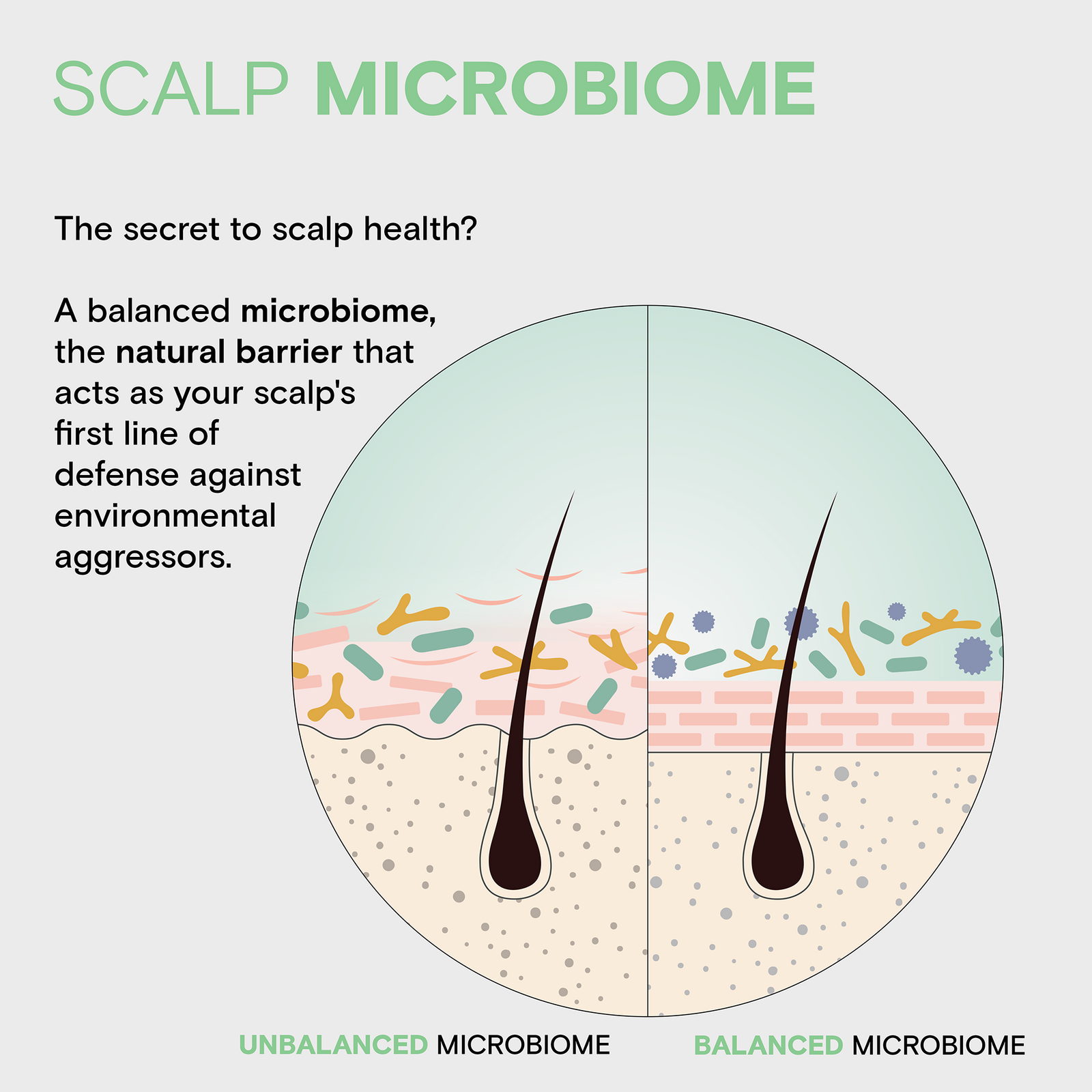 Scalp Vitality Refreshing Shampoo