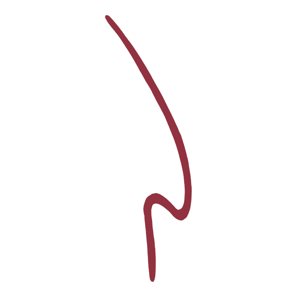 Maracuja Juicy Lip Liner - Rose in Bloom