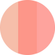 Authentic Peach Blush Icon Palette 