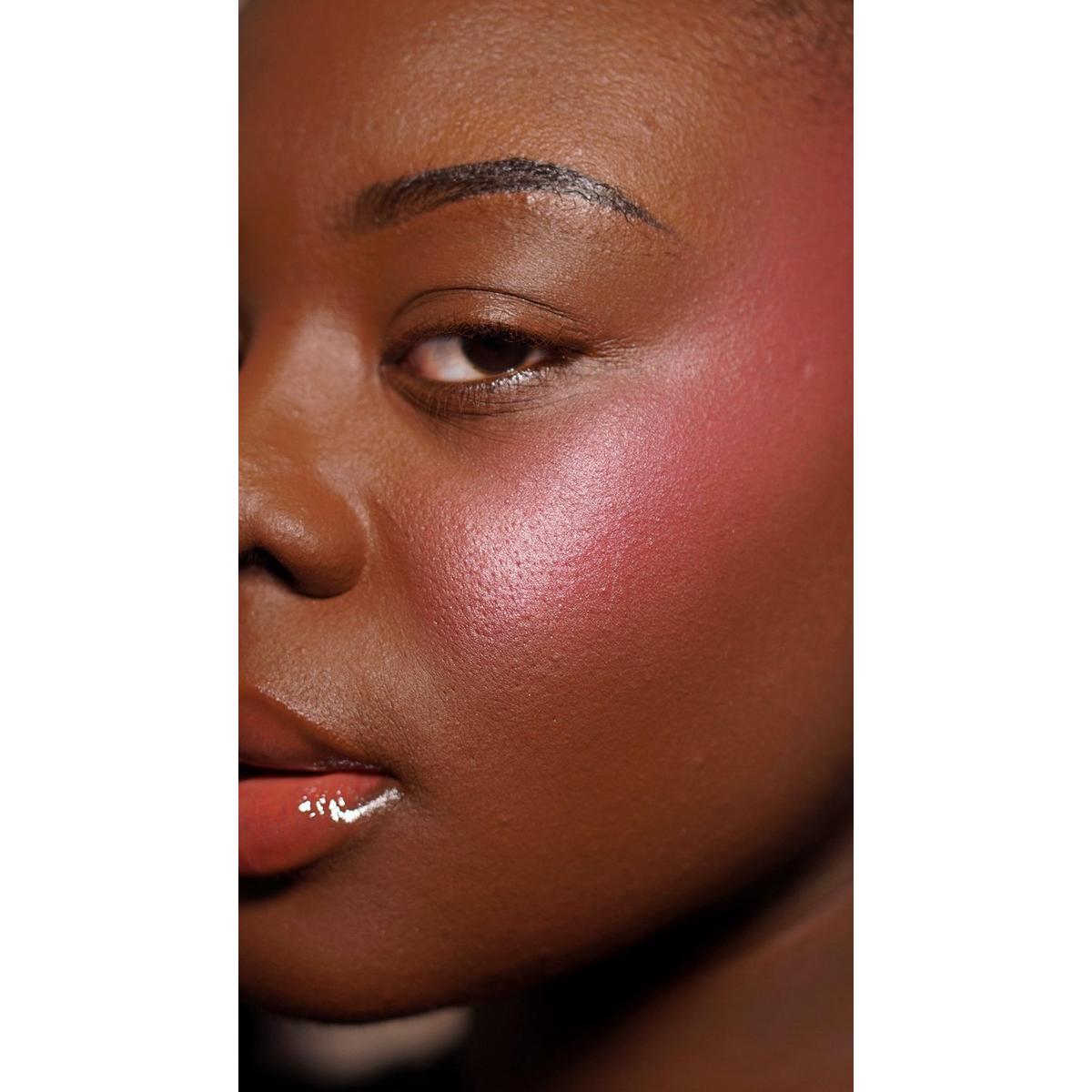 Blush Icon Palette - Hot Pink Flag