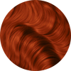 Ginger Flare