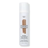 Color Touch-Up Spray