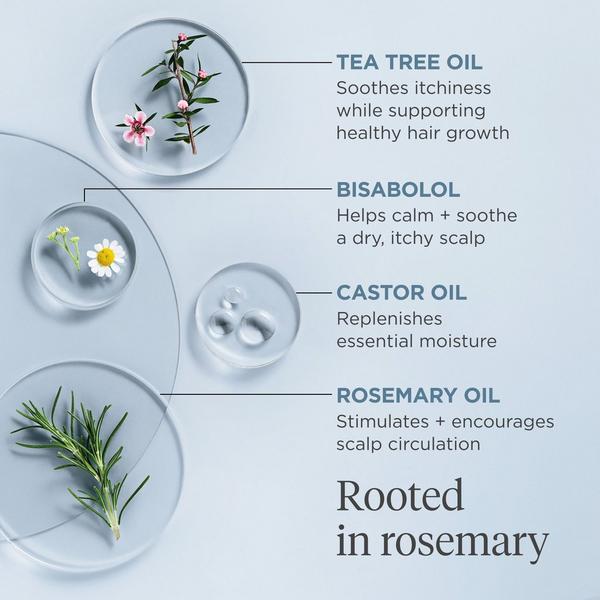 Briogeo Travel Size Scalp Revival Rosemary Pre-Wash Oil #6
