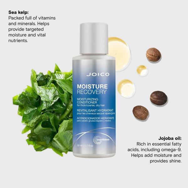 Joico Moisture Recovery Kit #6