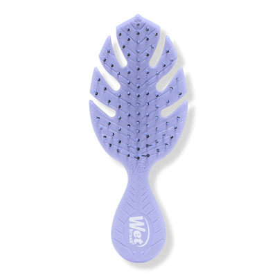 Wet Brush Go Green Mini Detangler