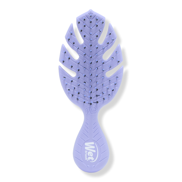 Wet Brush Go Green Mini Detangler #1