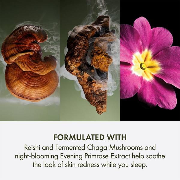 Origins Mega Mushroom Overnight Recovery Cream Moisturizer #5