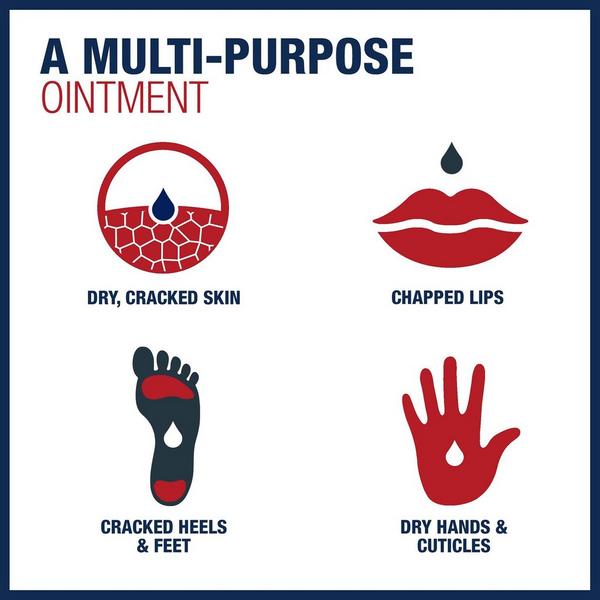 Aquaphor Healing Ointment Dual Pack #6