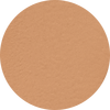 Warm Medium-Light 270