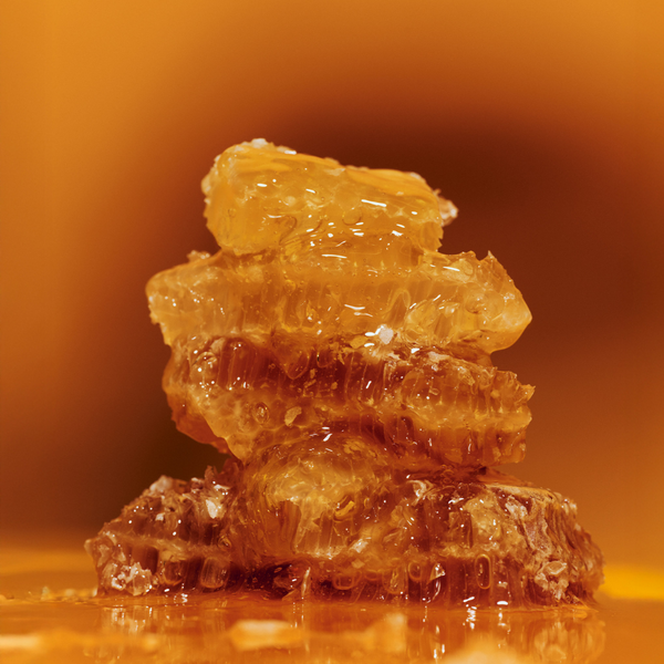 NOYZ Listen, Honey Hair + Body Fragrance Mist #2