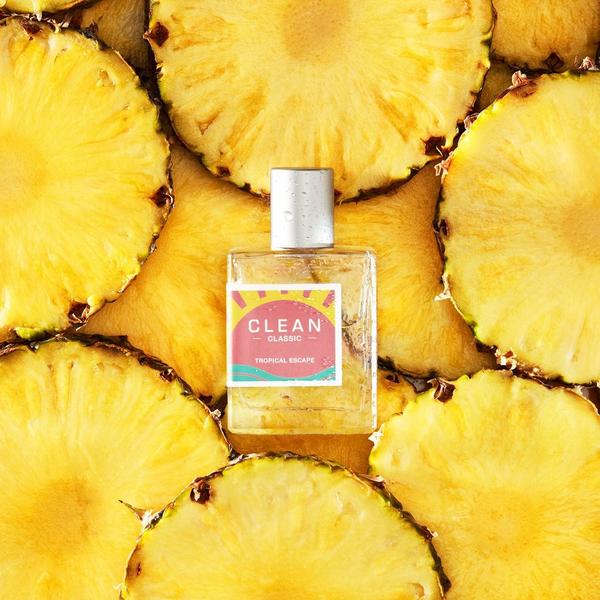 Clean Classic Tropical Escape #3