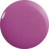 Blueberry Burst